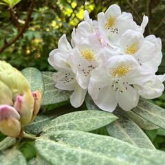 23-06-03 17-01-02 5813